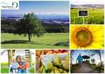 Postkarte