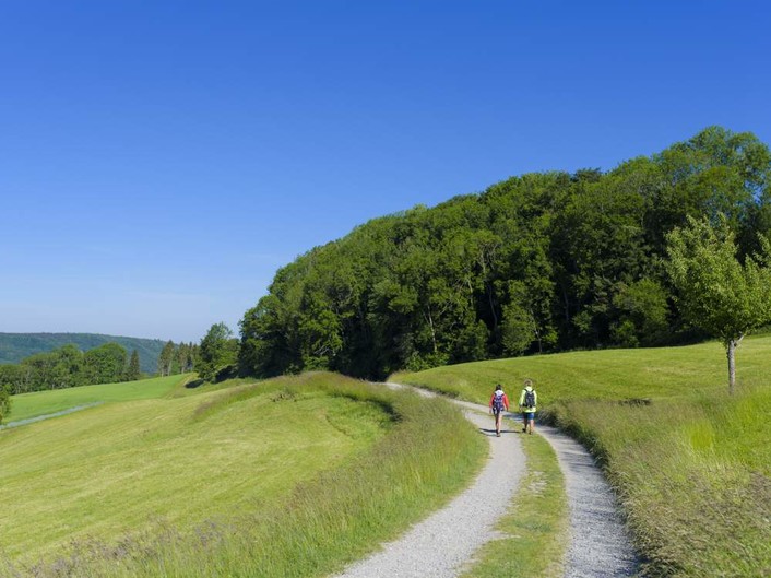 Premiumwanderweg